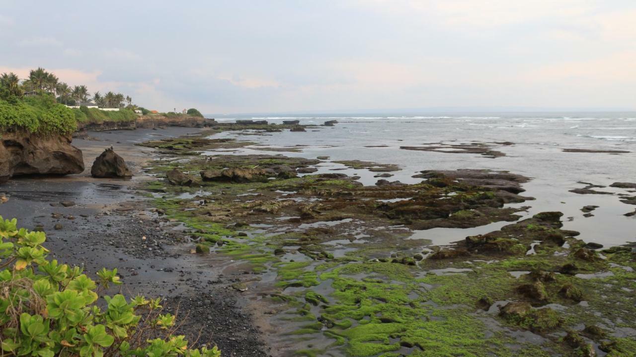 Villa Padi Canggu Eksteriør bilde